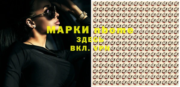 молекула духа Нефтекумск