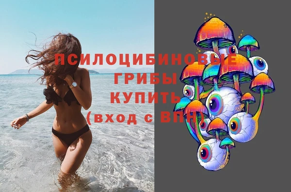 молекула духа Нефтекумск