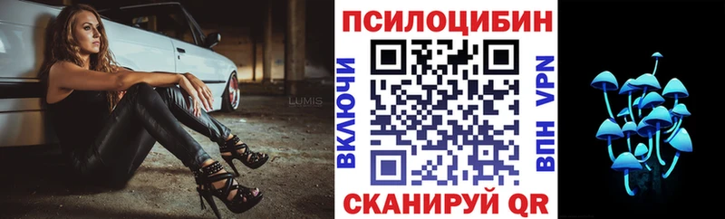 Псилоцибиновые грибы Psilocybine cubensis  Купить  Кандалакша 
